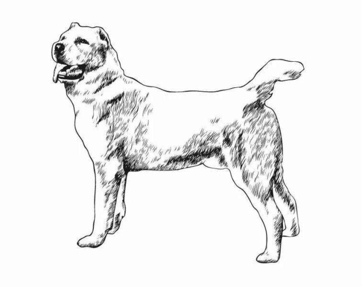 Рисунок собаки породы алабай