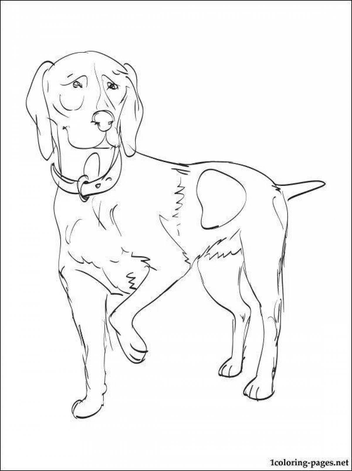 Coloring book playful hunting dog