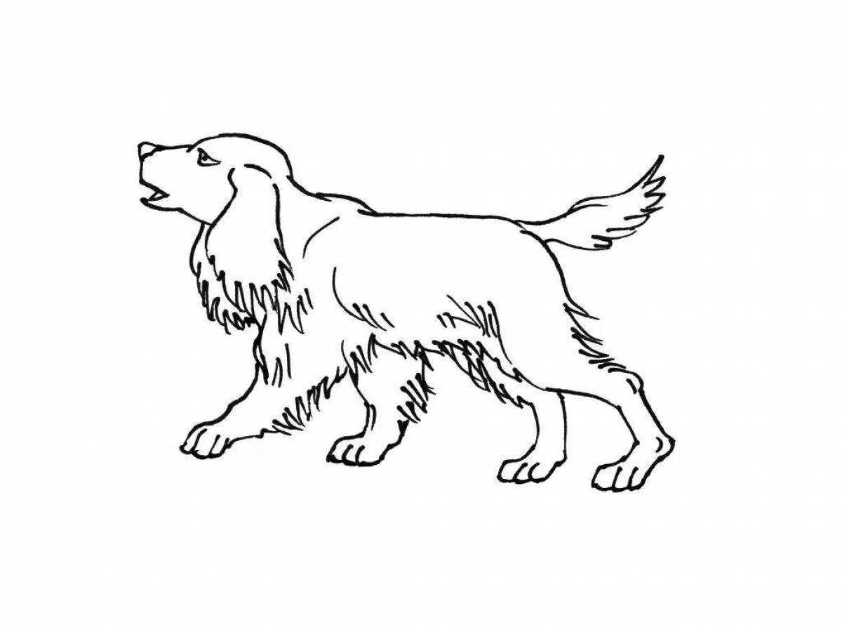 Coloring book funny hunting dog