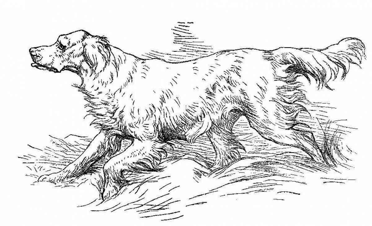 Coloring book brave hunting dog