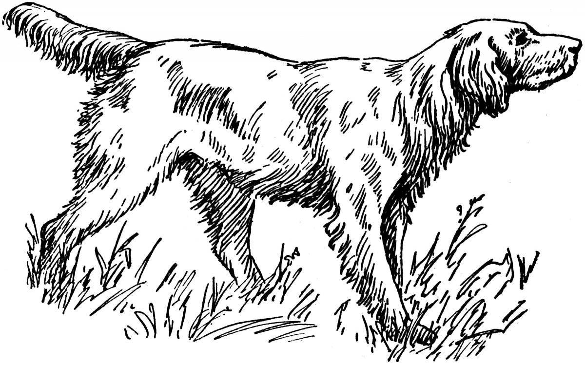 Coloring book faithful hunting dog