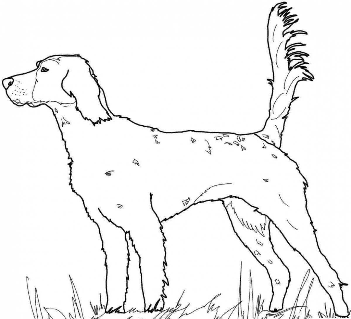 Vigilant hunting dog coloring page