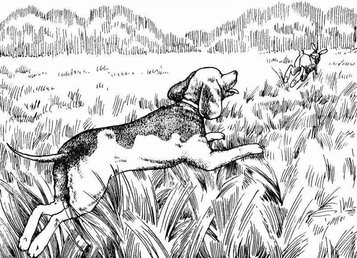 Coloring book energetic hunting dog
