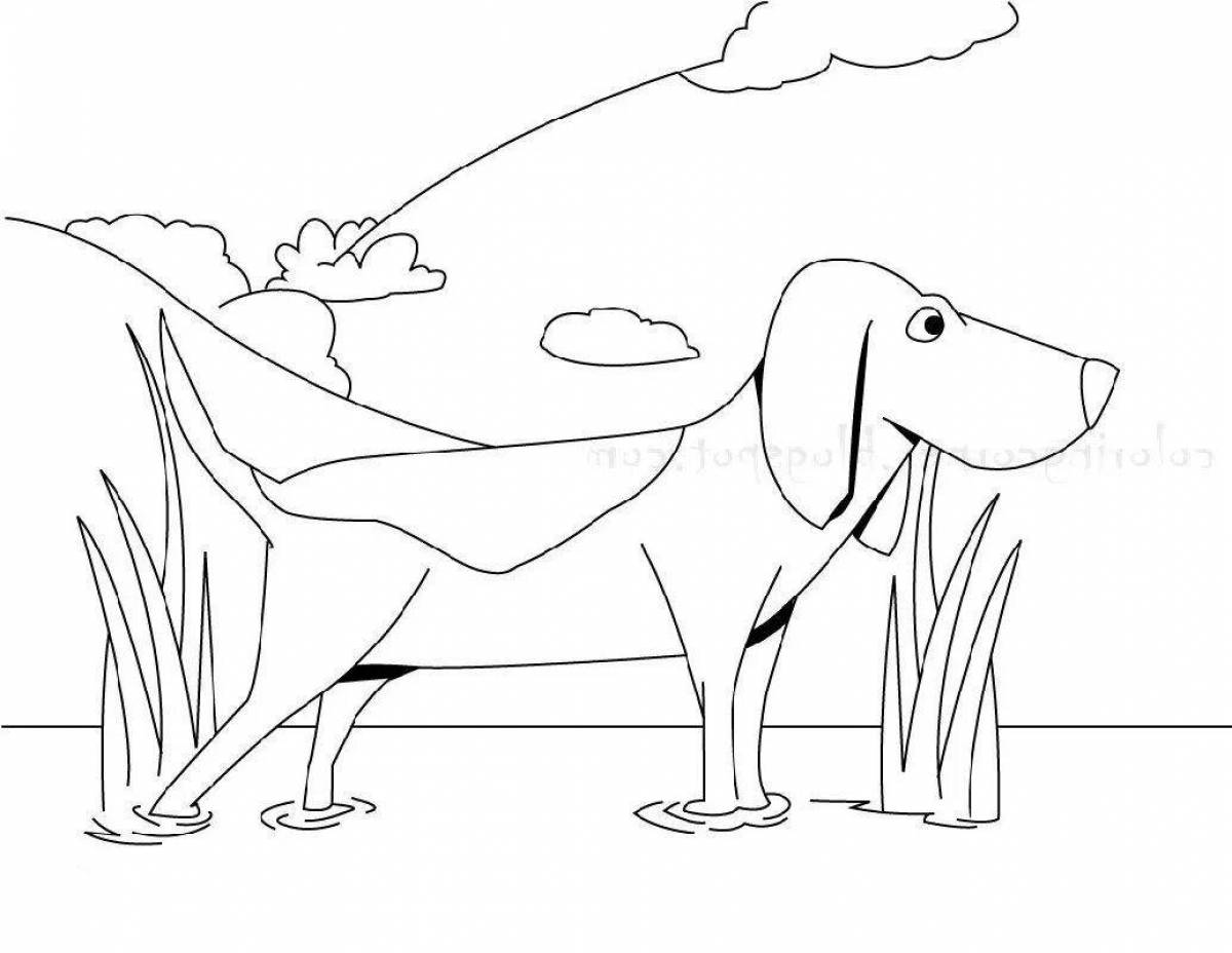 Coloring book clever hunting dog