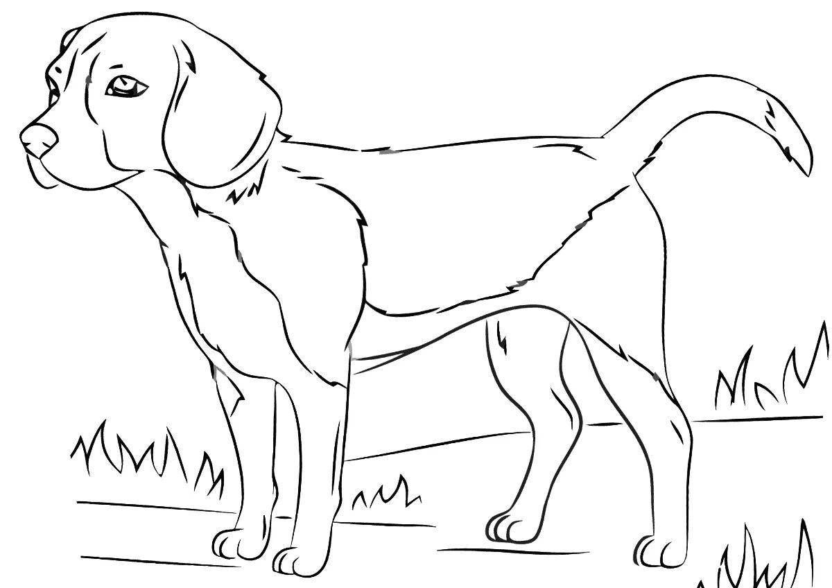 Courageous hunting dog coloring page