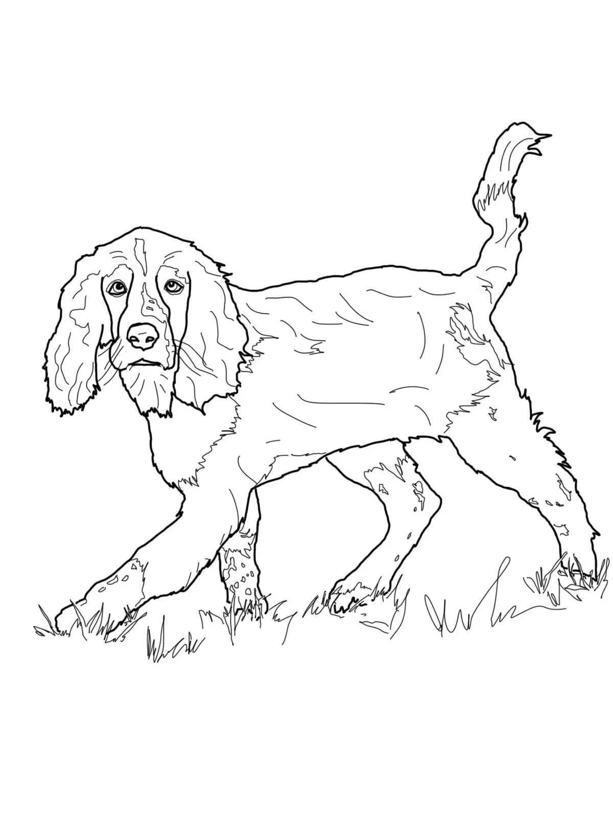 Coloring book resistant hunting dog