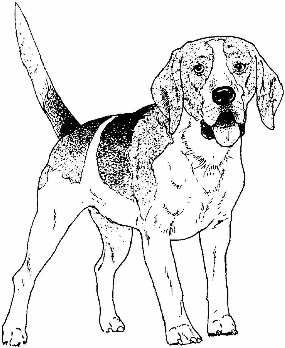 Coloring book protective hunting dog