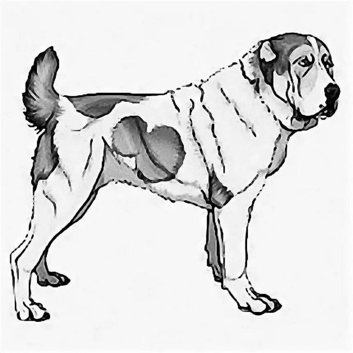 Яркая страница раскраски собаки алабай