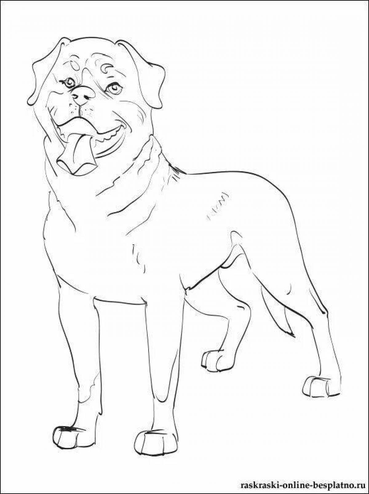 Charming dog alabai coloring book