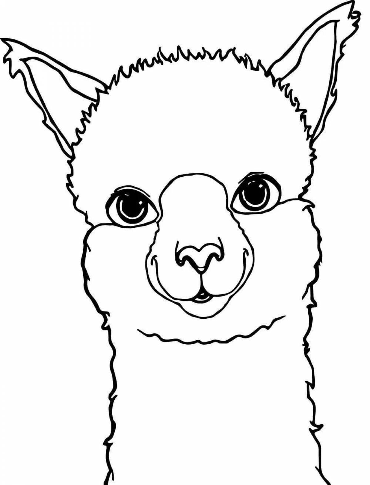 Cute cute llama coloring book