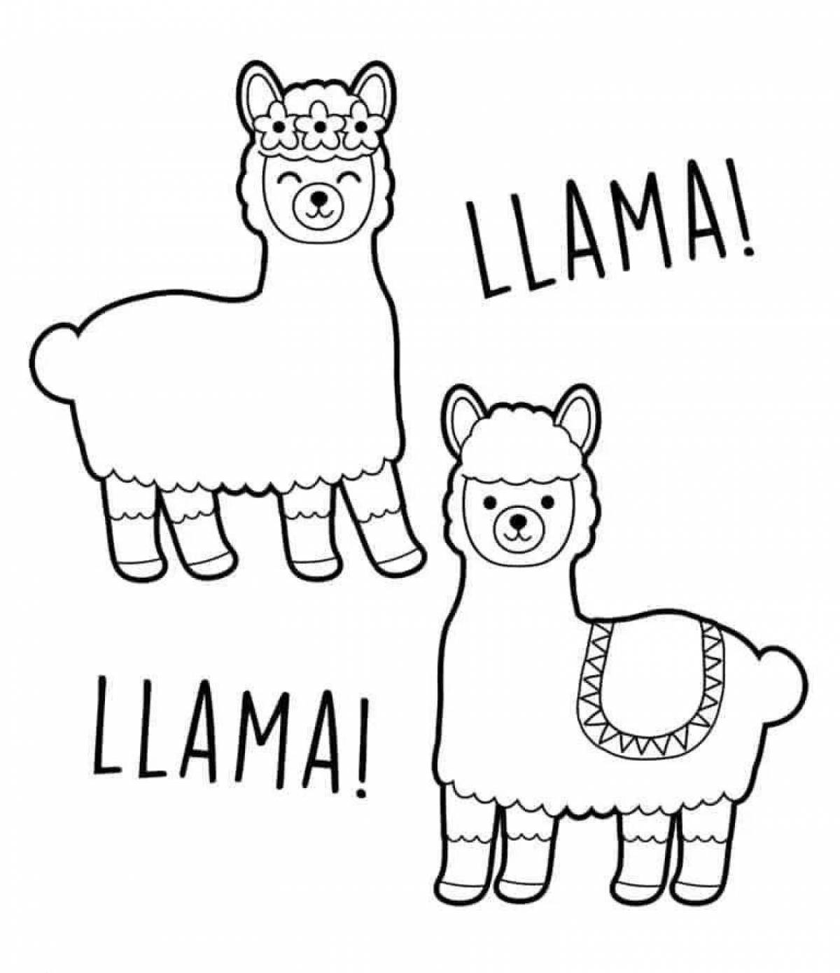 Awesome cute llama coloring book