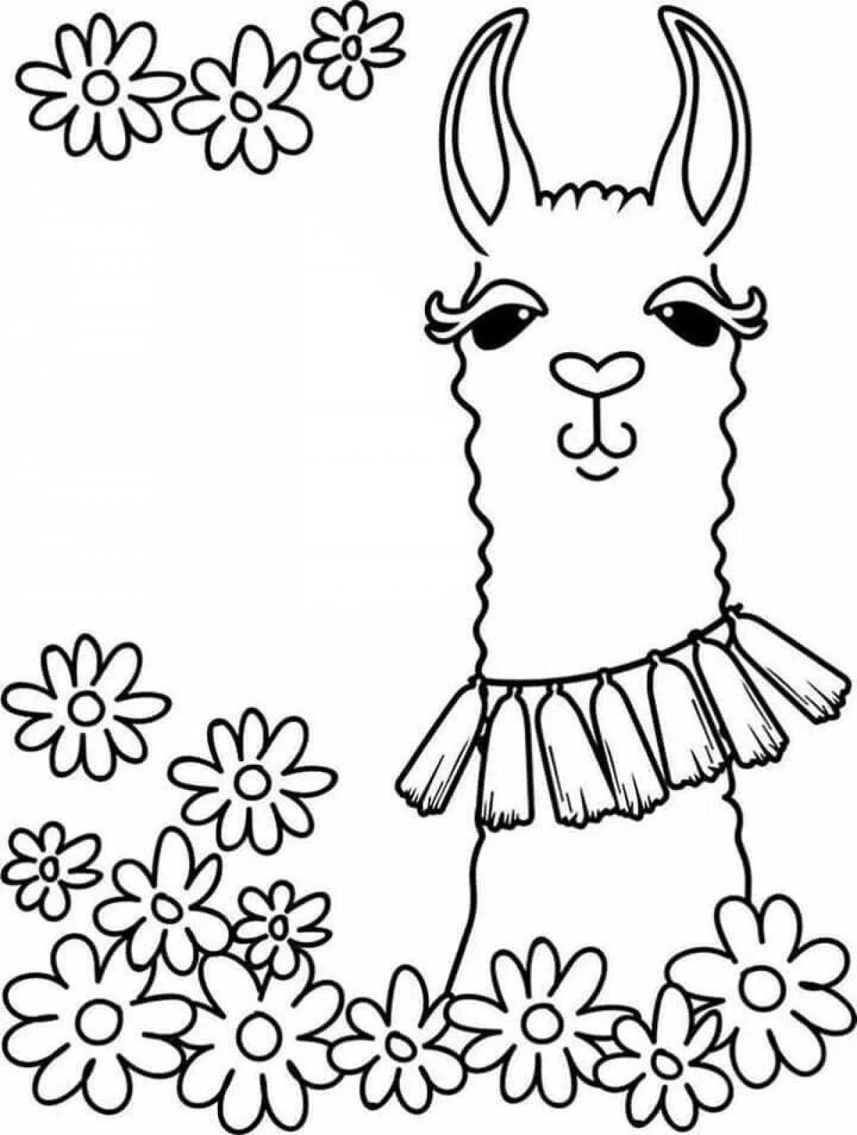 Dazzling cute llama coloring page