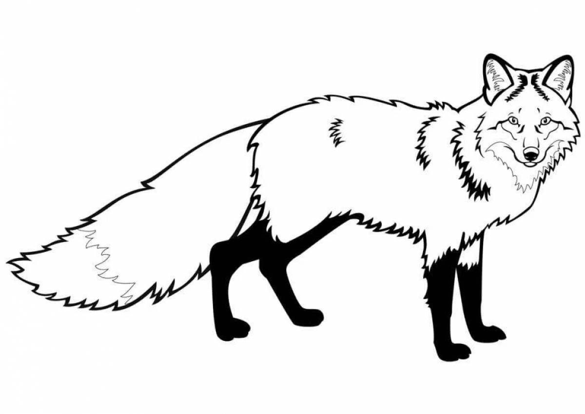 Violent fox drawing