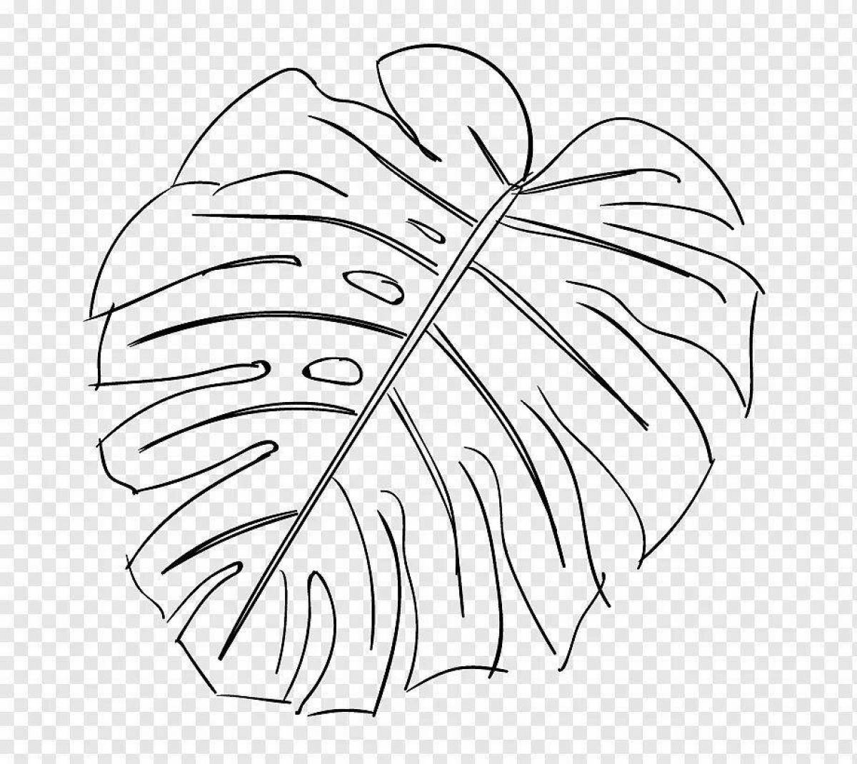 Bright monstera leaf coloring page