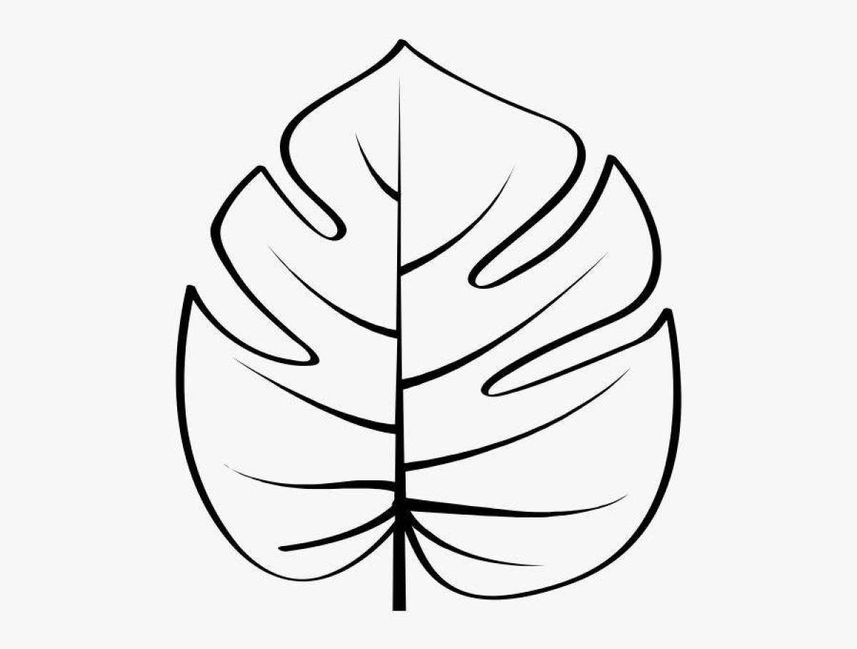 Majestic monstera leaf coloring page