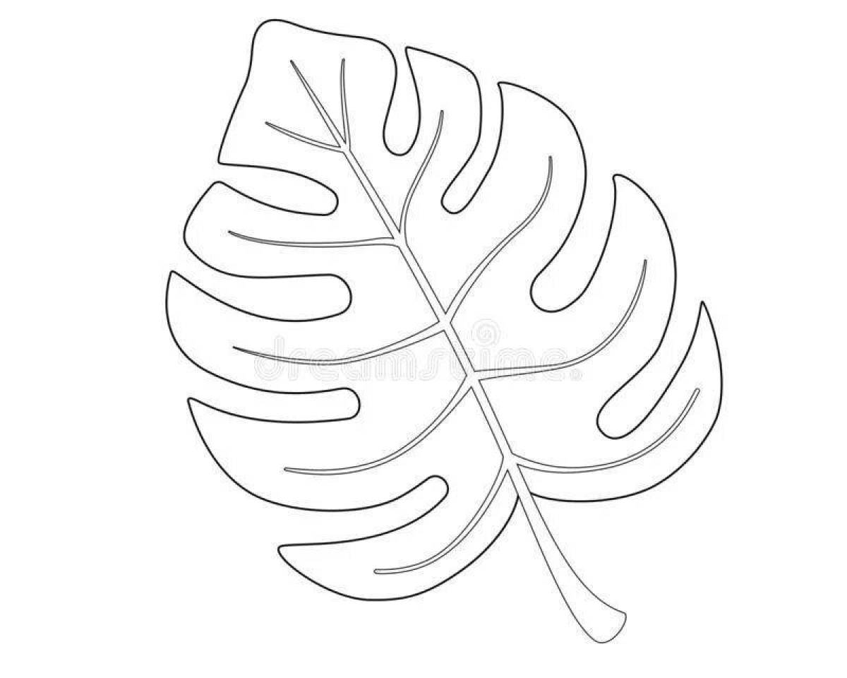 Adorable monstera leaf coloring page