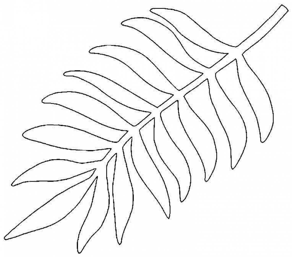 Awesome monstera leaf coloring page