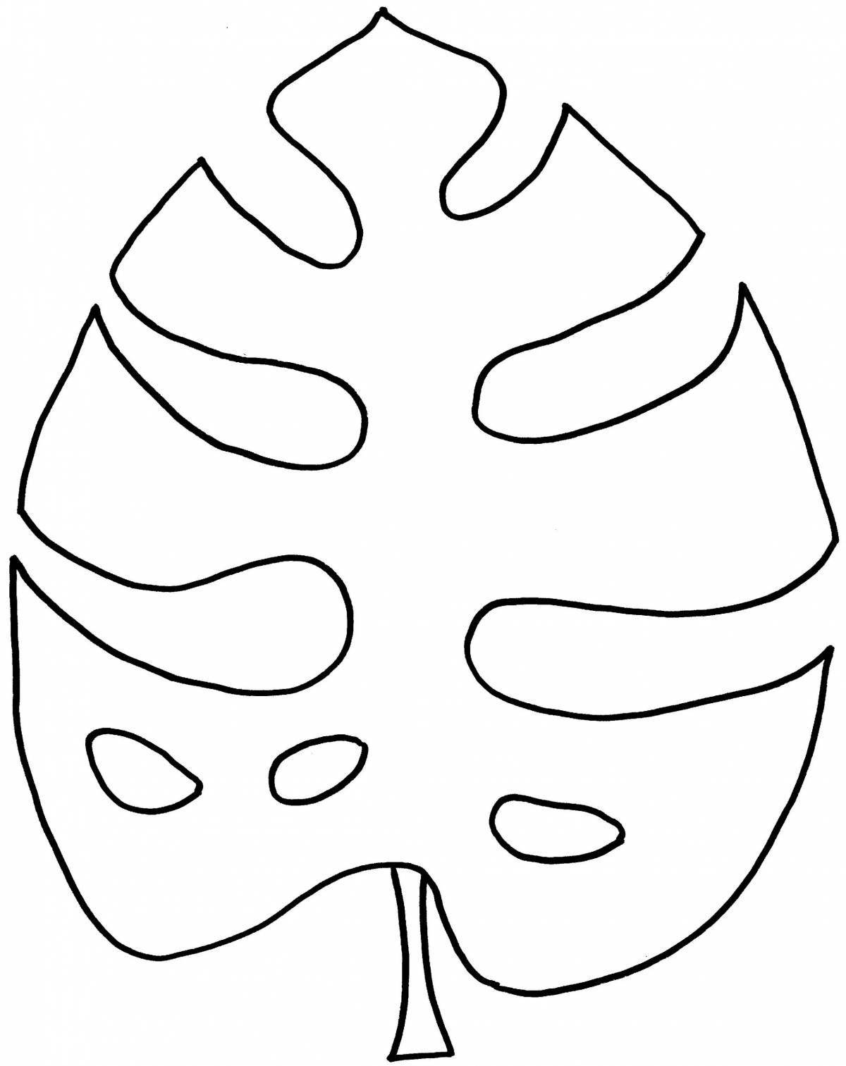 Color monstera leaf coloring page