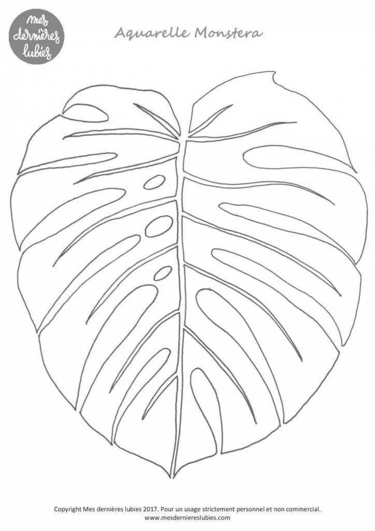 Coloring page happy monstera leaf