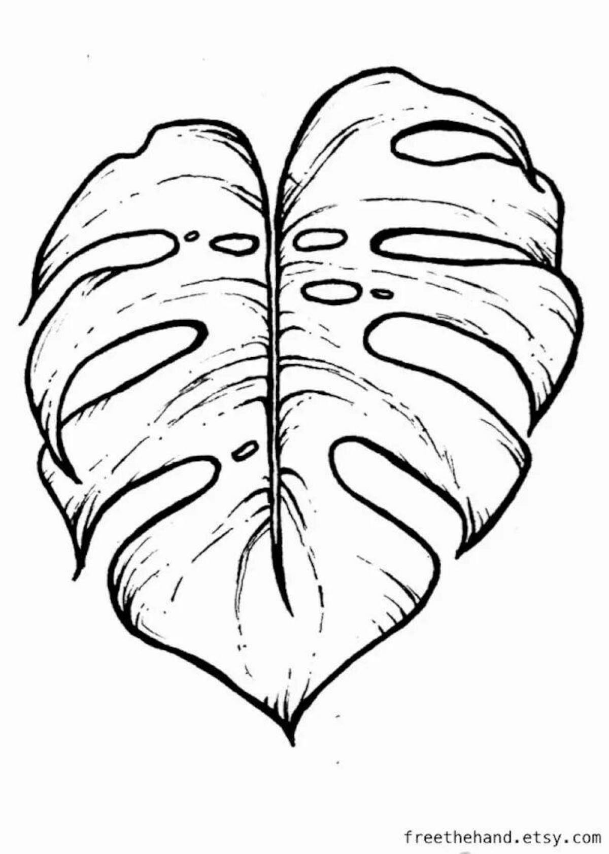 Playful monstera leaf coloring page