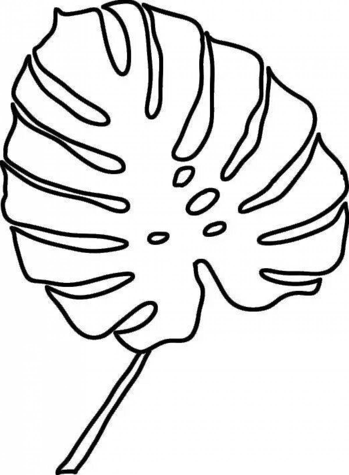 Fabulous monstera leaf coloring page