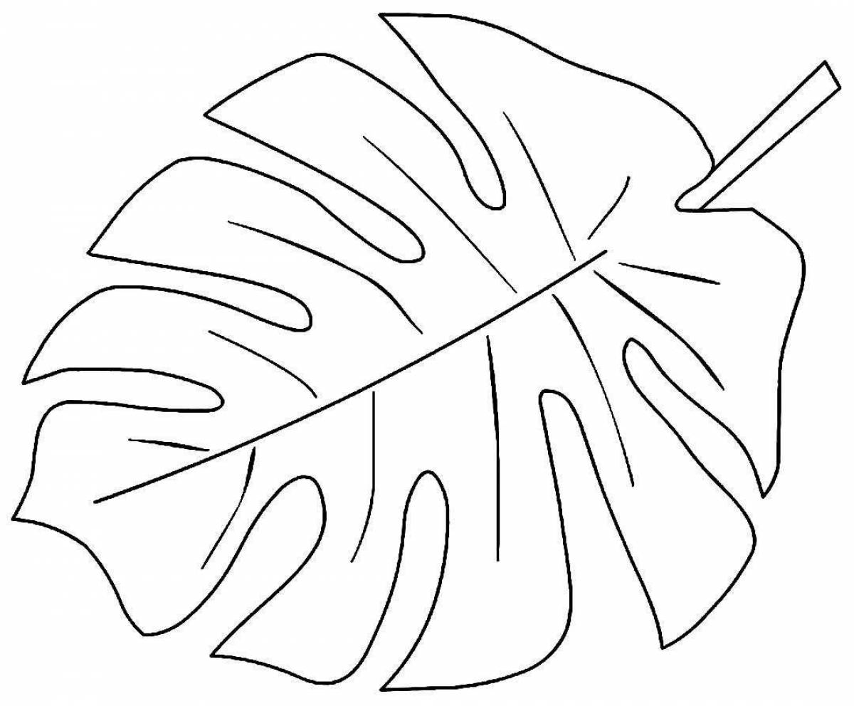 Coloring page of happy monstera leaves