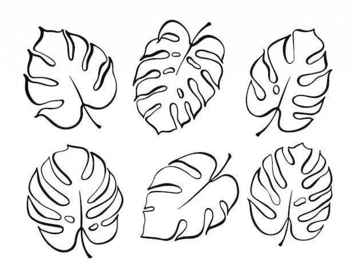 Blissful monstera leaf coloring page