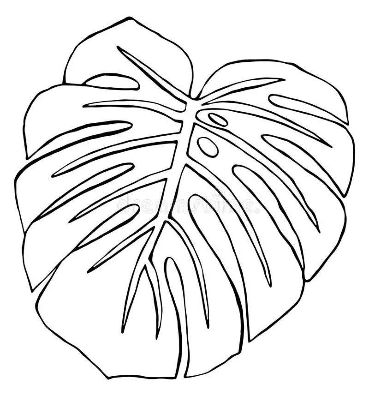 Calming monstera leaf coloring page