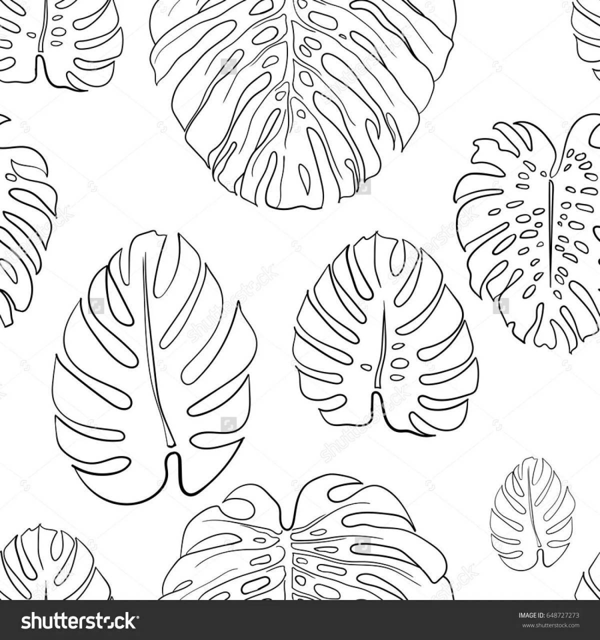 Inviting monstera leaf coloring page