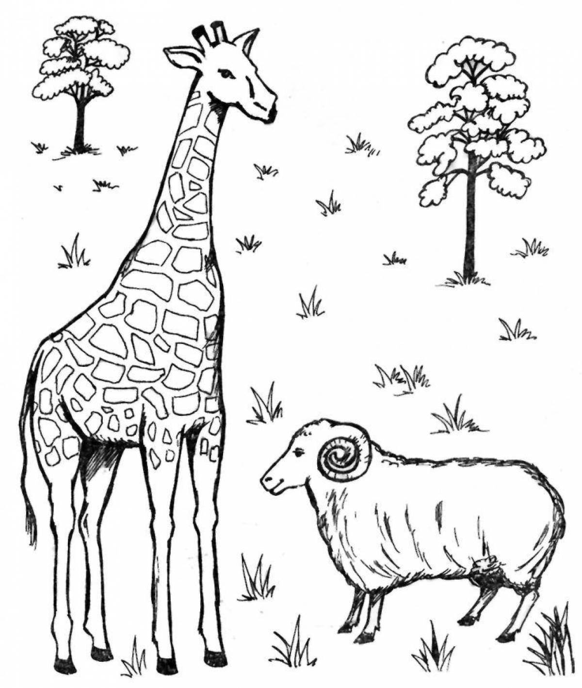 Rich low high coloring page