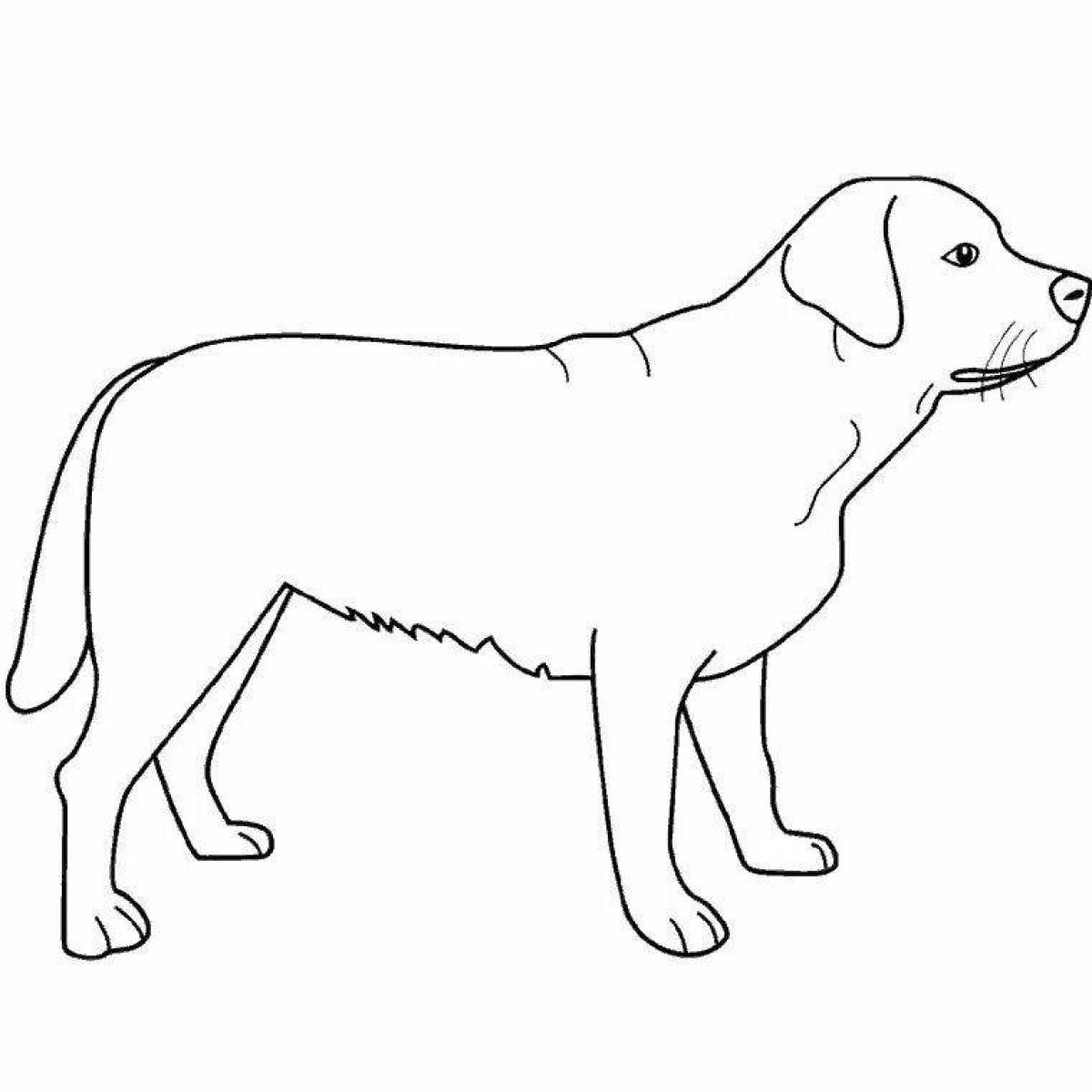 Big dog playful coloring page