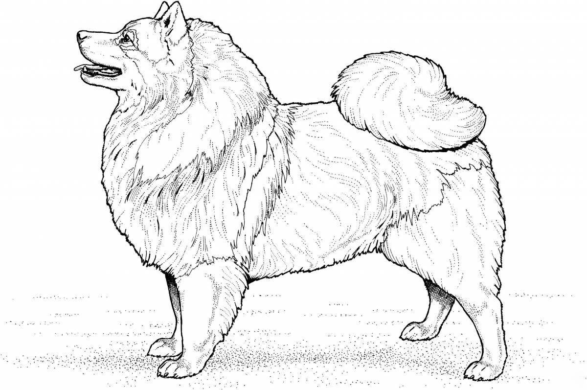 Раскраска очаровательная большая собака
