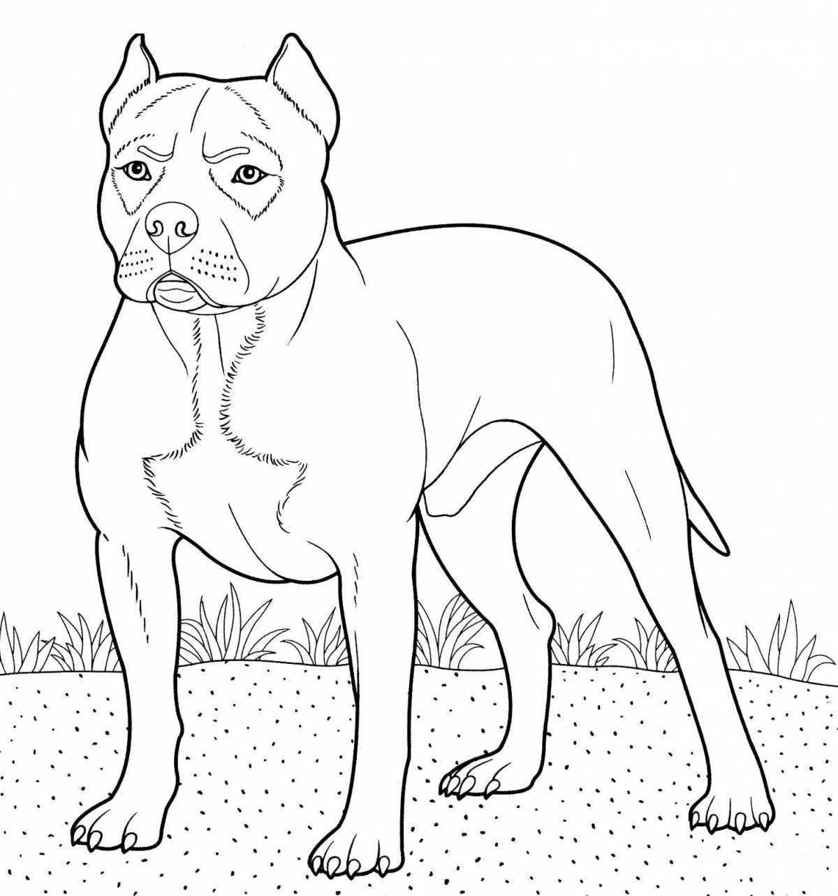 Coloring book brave big dog