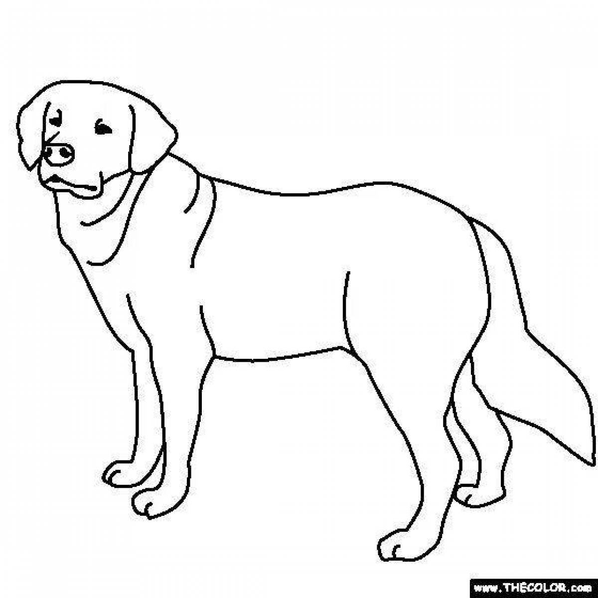 Caution big dog coloring page