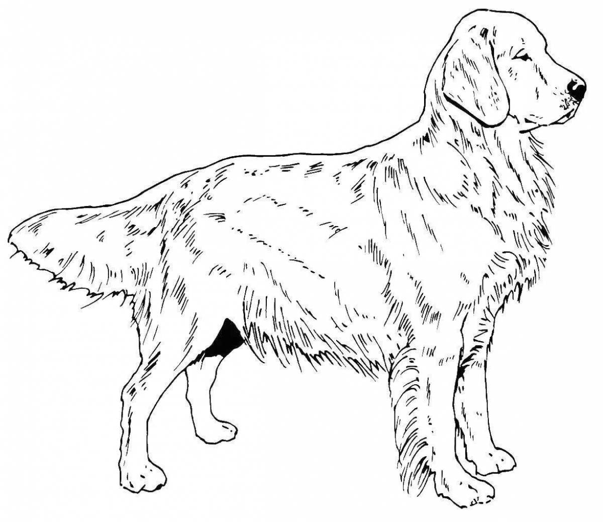 Wiggly big dog coloring page