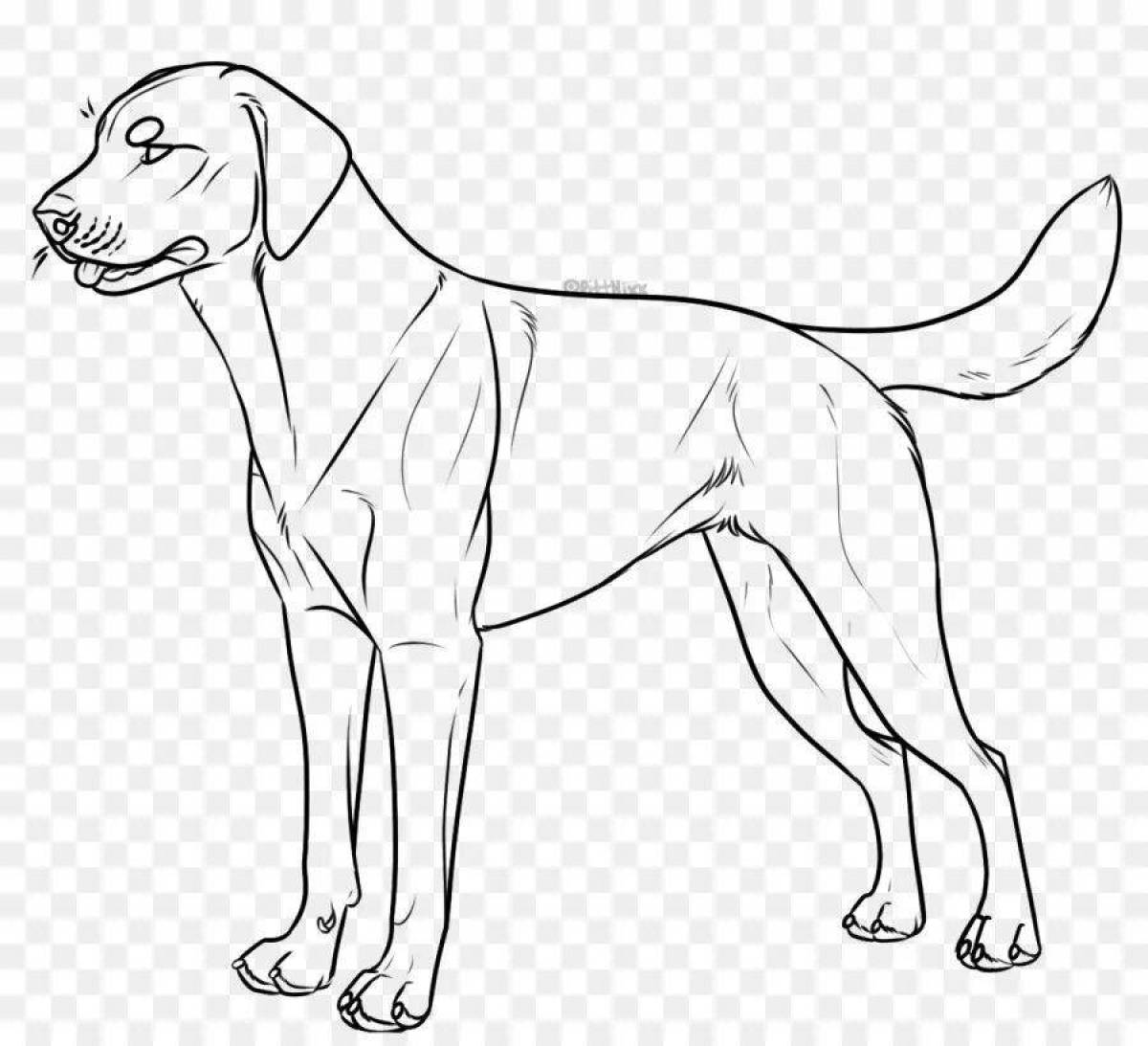 Snuggly big dog coloring page