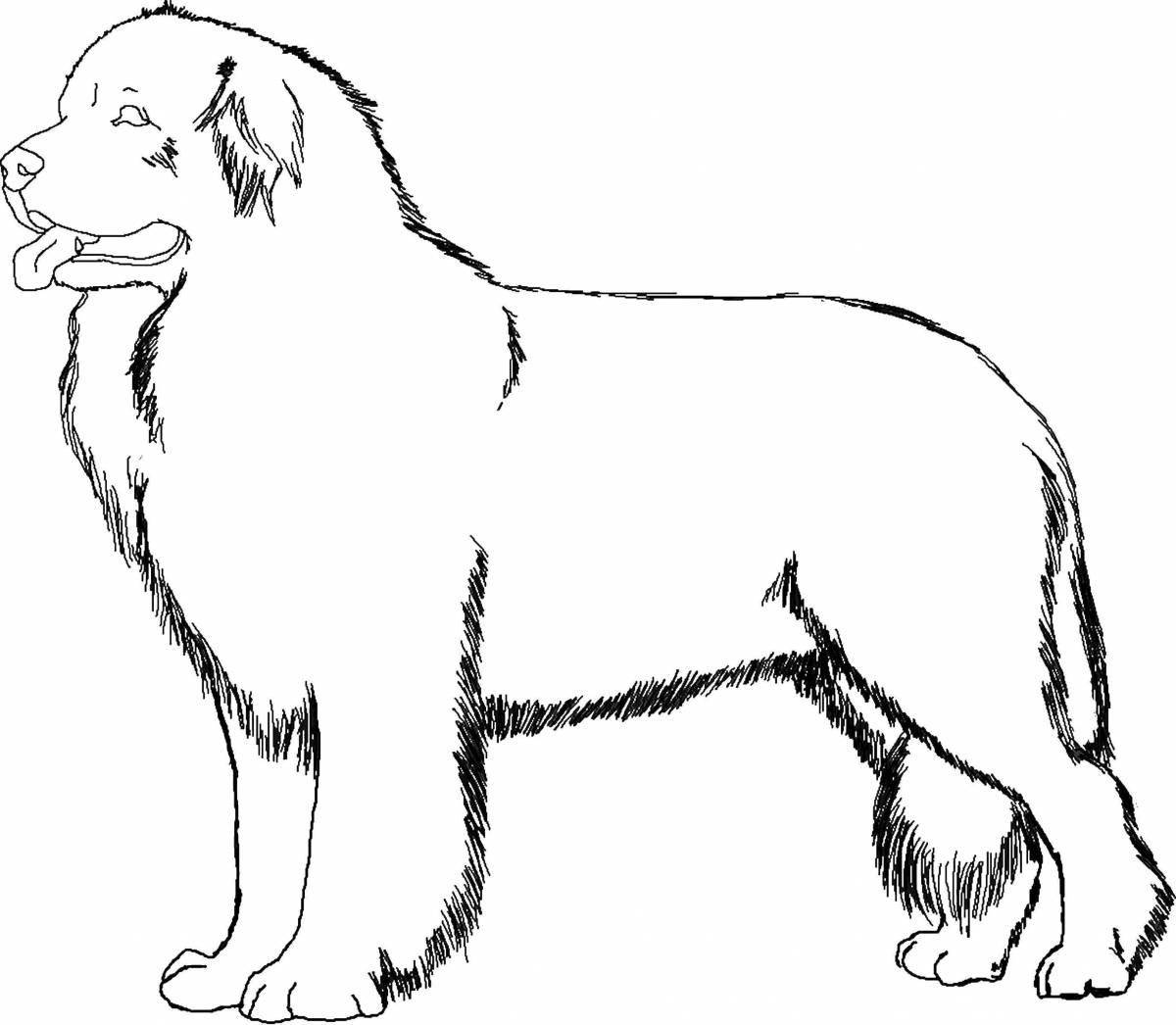 Анимированная страница раскраски большой собаки