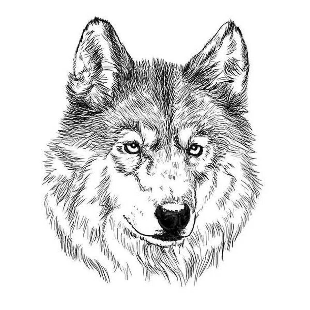 Заманчивая раскраска морда волка