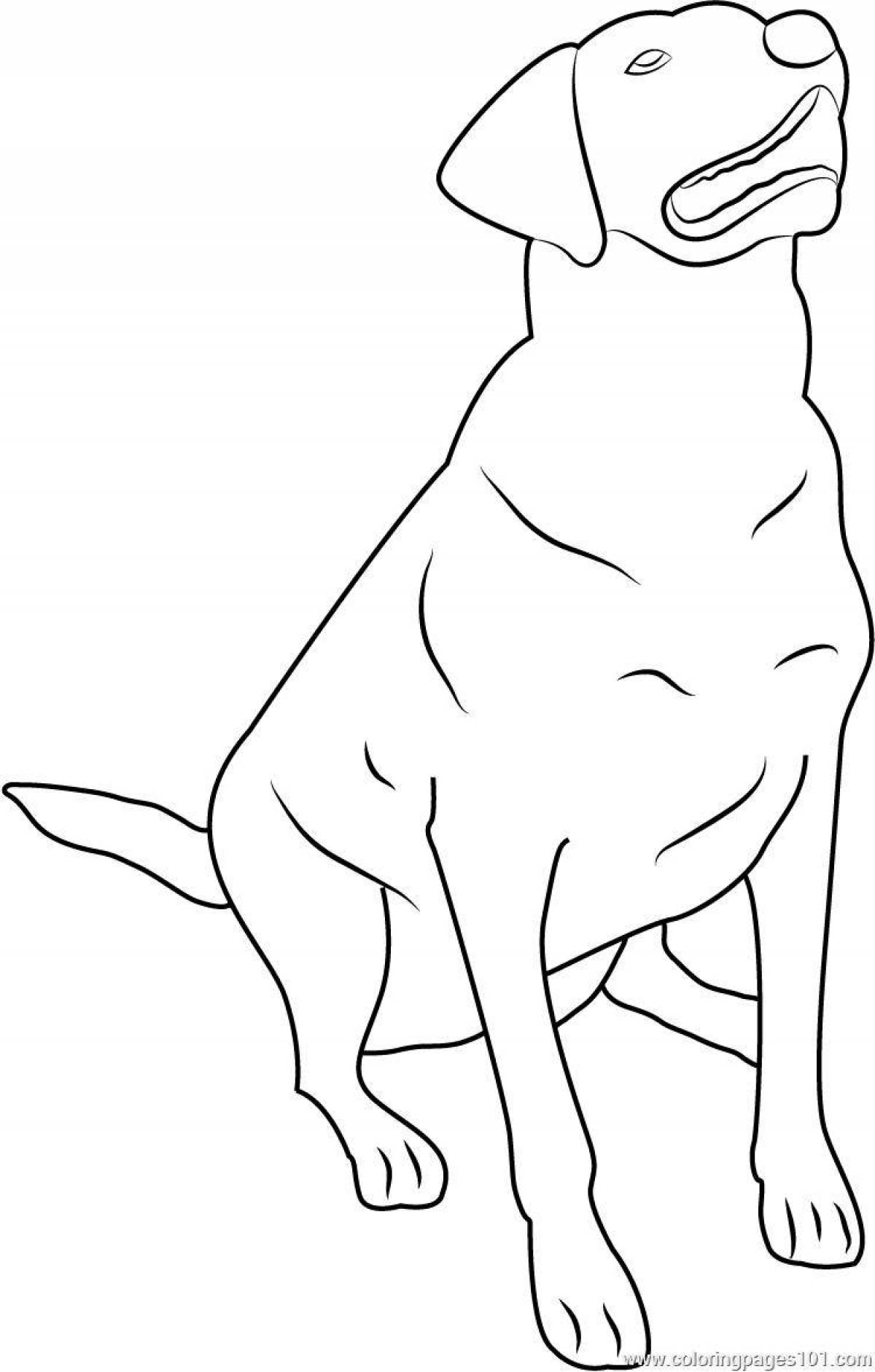 Cute labrador coloring page