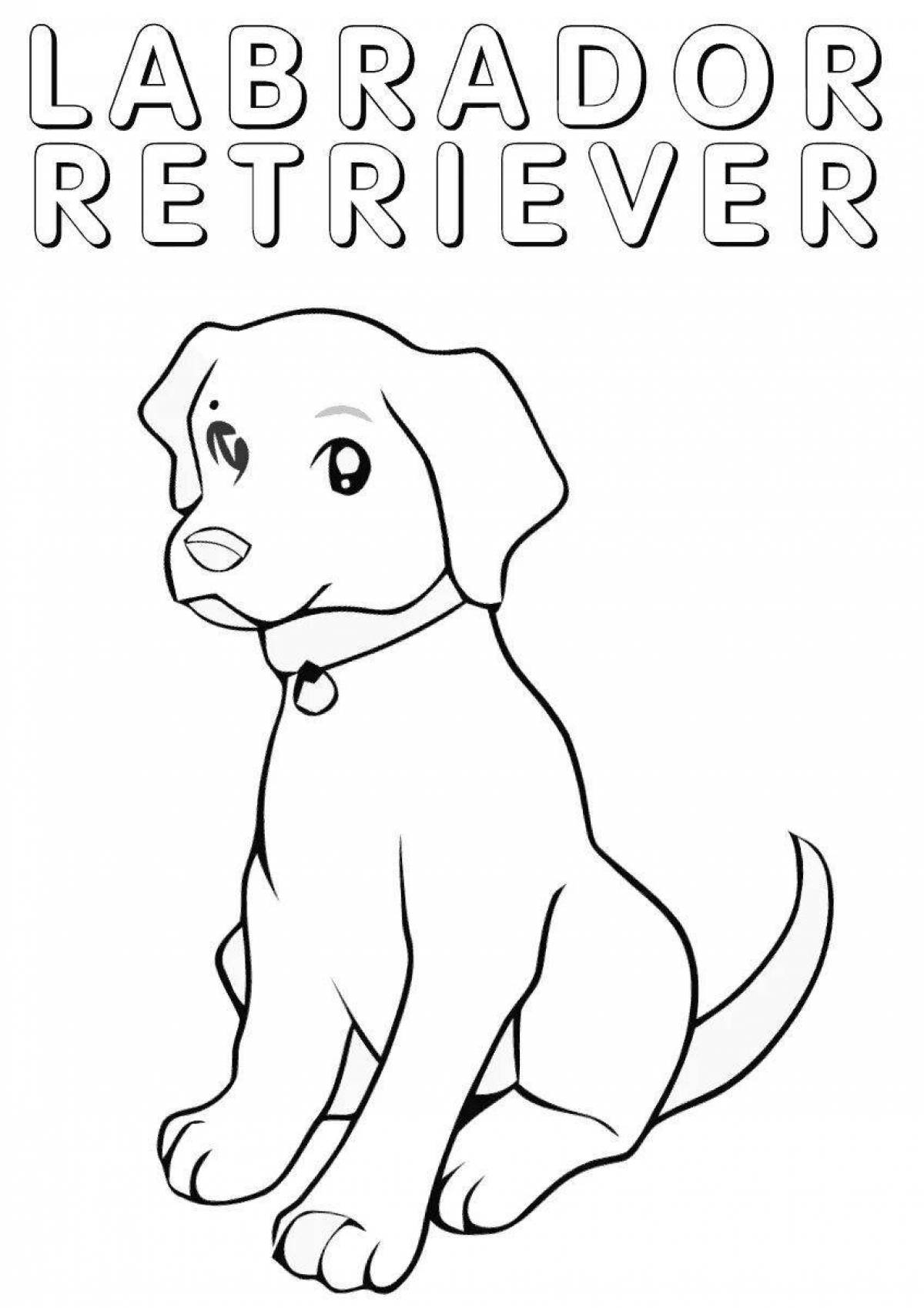 Coloring page friendly labrador