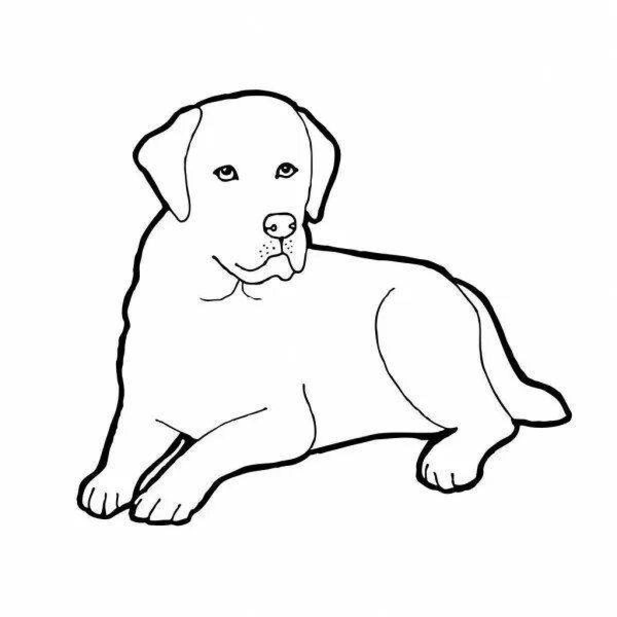 Joyful labrador coloring book