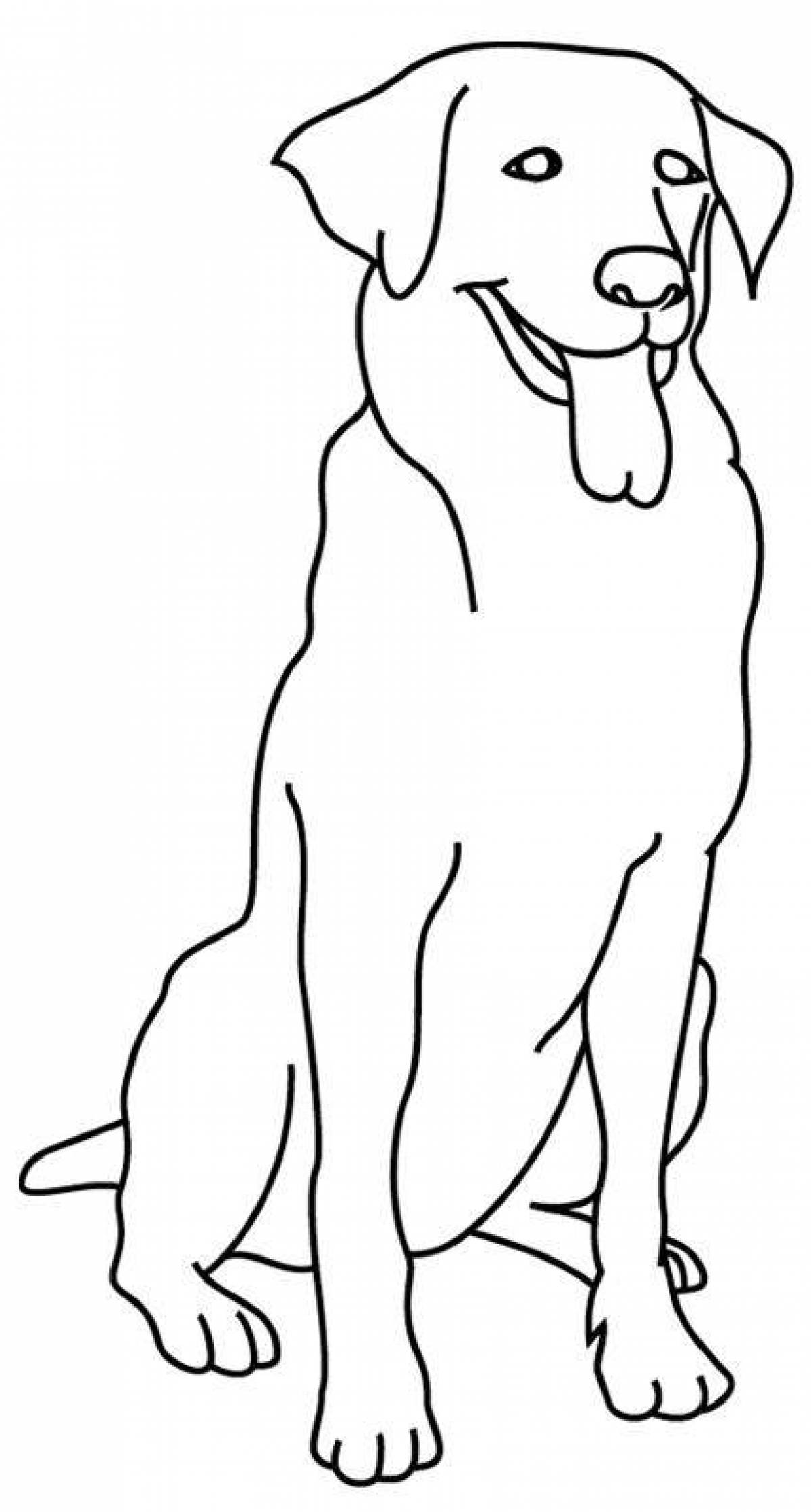 Coloring book disturbing labrador