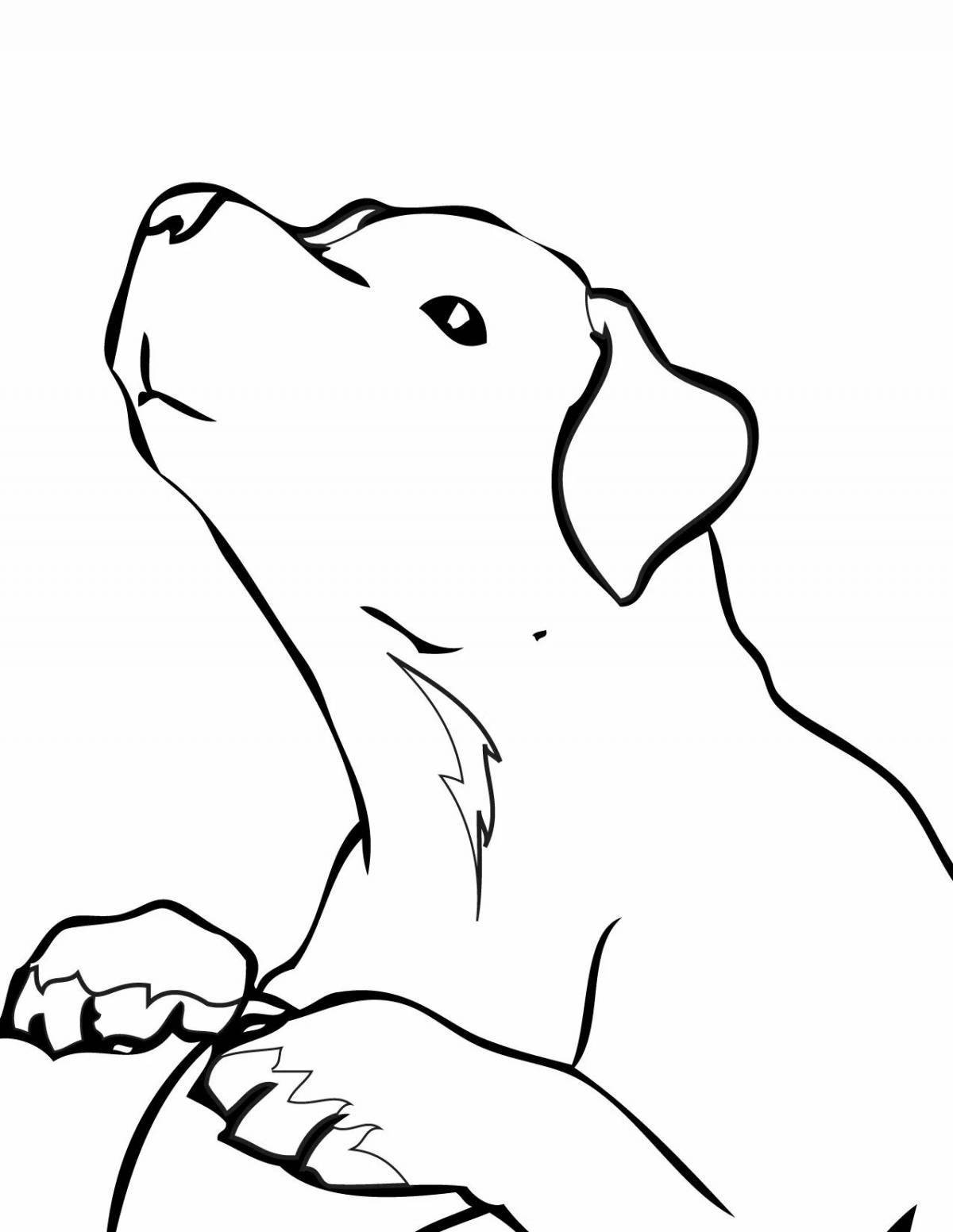 Labrador live coloring page