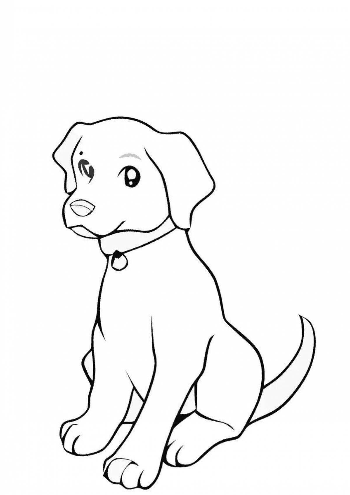 Раскраска умный лабрадор