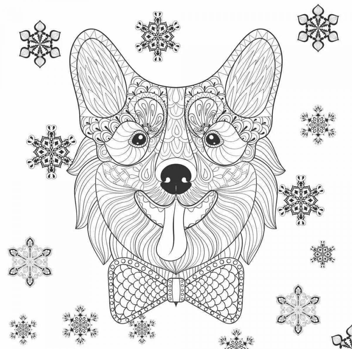 Photo Adorable anti-stress corgi coloring book