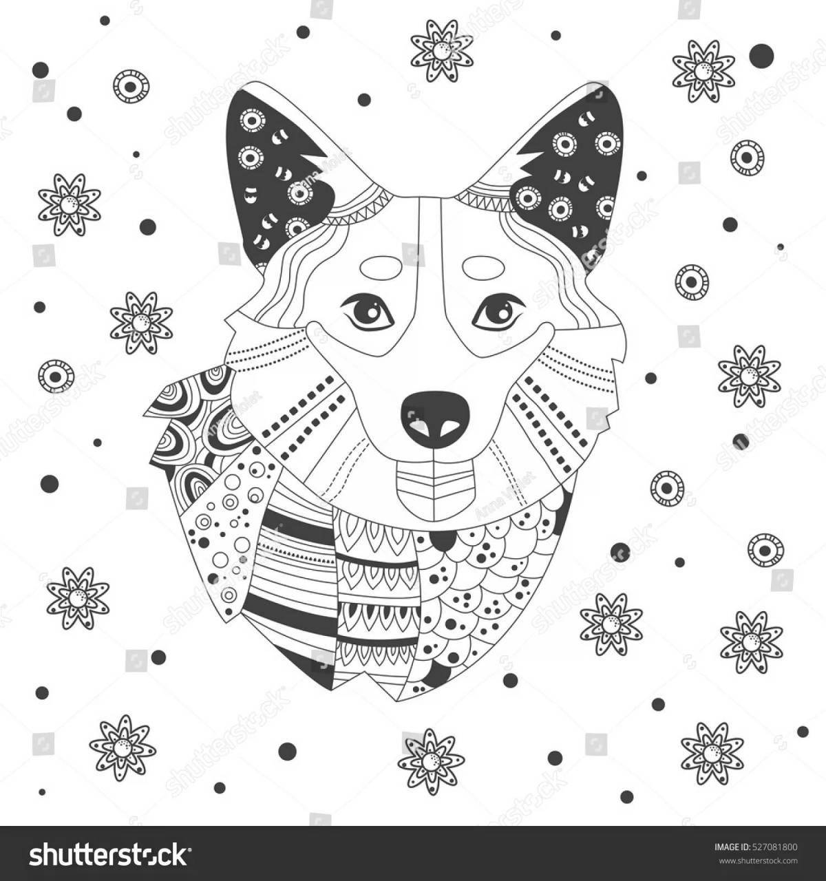 Photo Corgi relaxing anti-stress coloring book