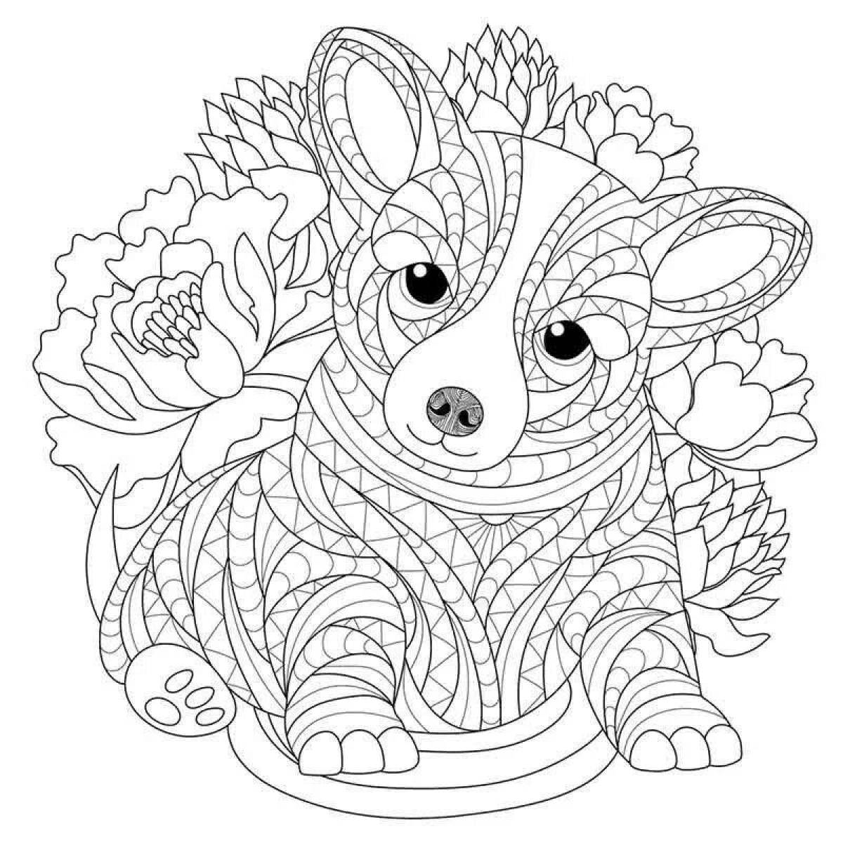 Photo Serene corgi antistress coloring book