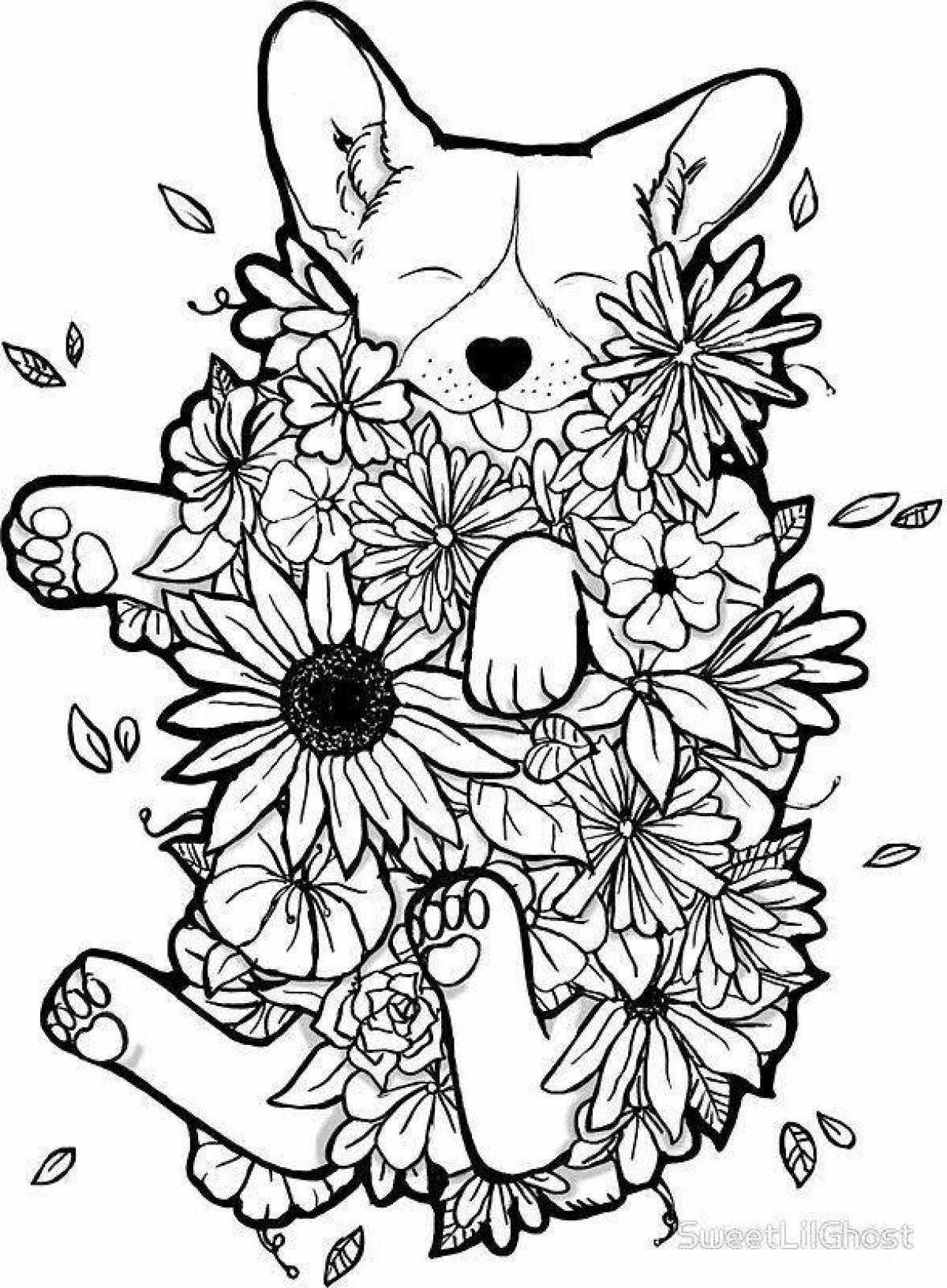Photo Corgi bright anti-stress coloring book
