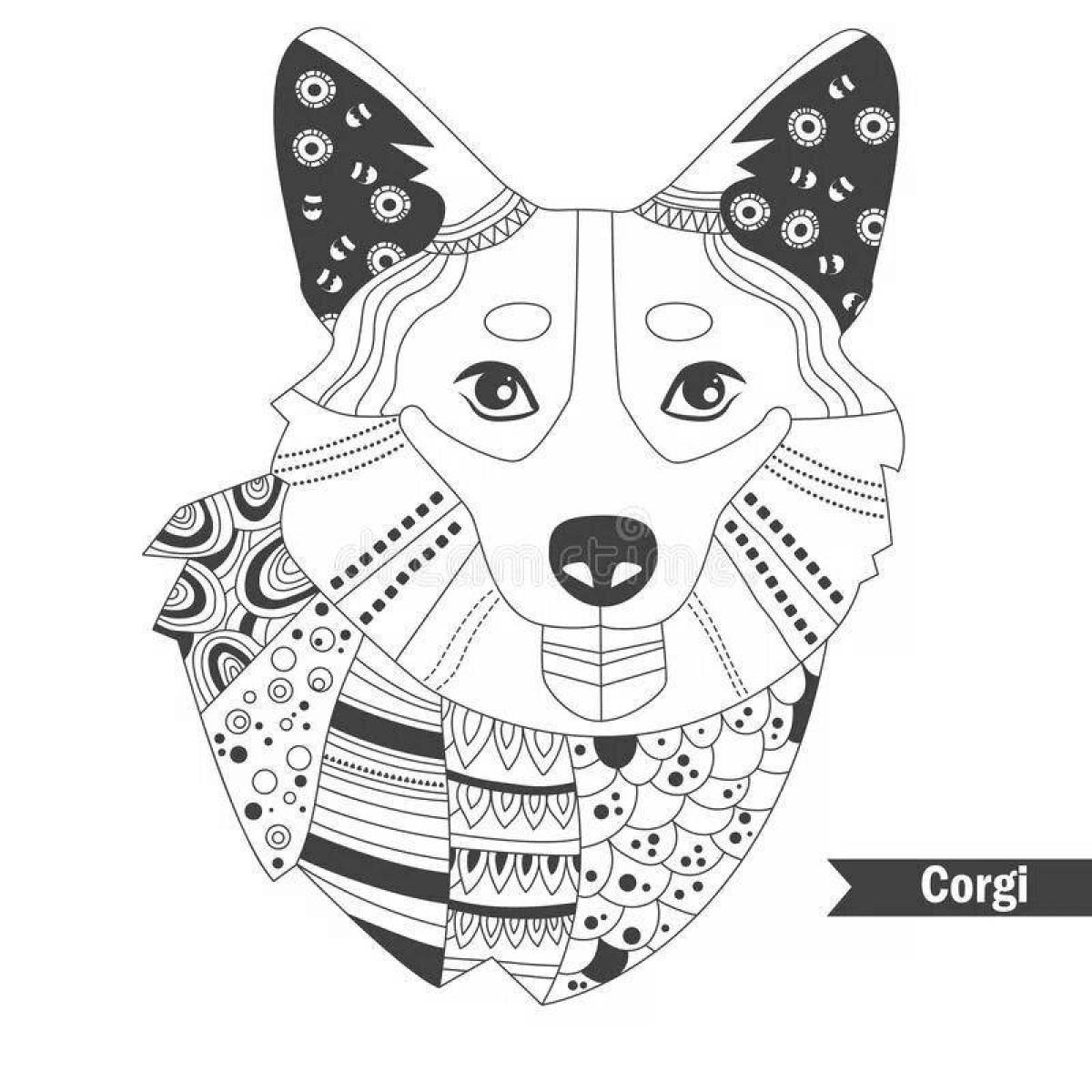 Photo Colouring cheerful corgi antistress