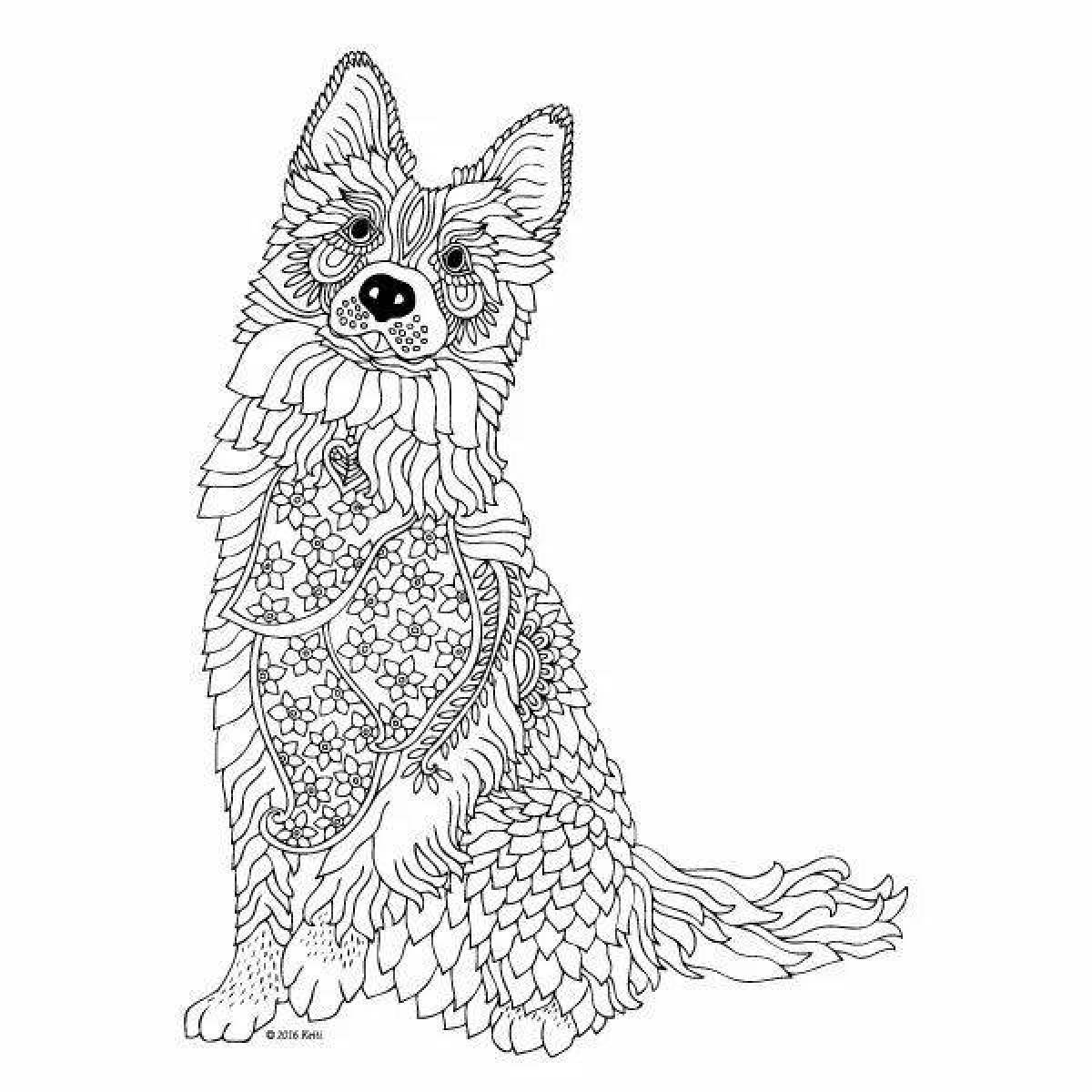 Coloring book magic corgi antistress